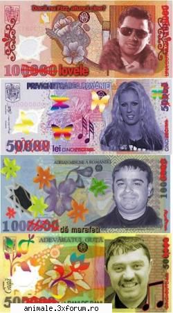 no leii grei