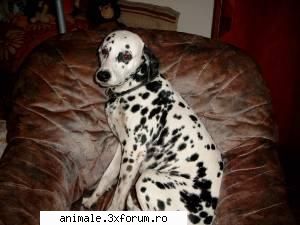 bonnie andra_3502
